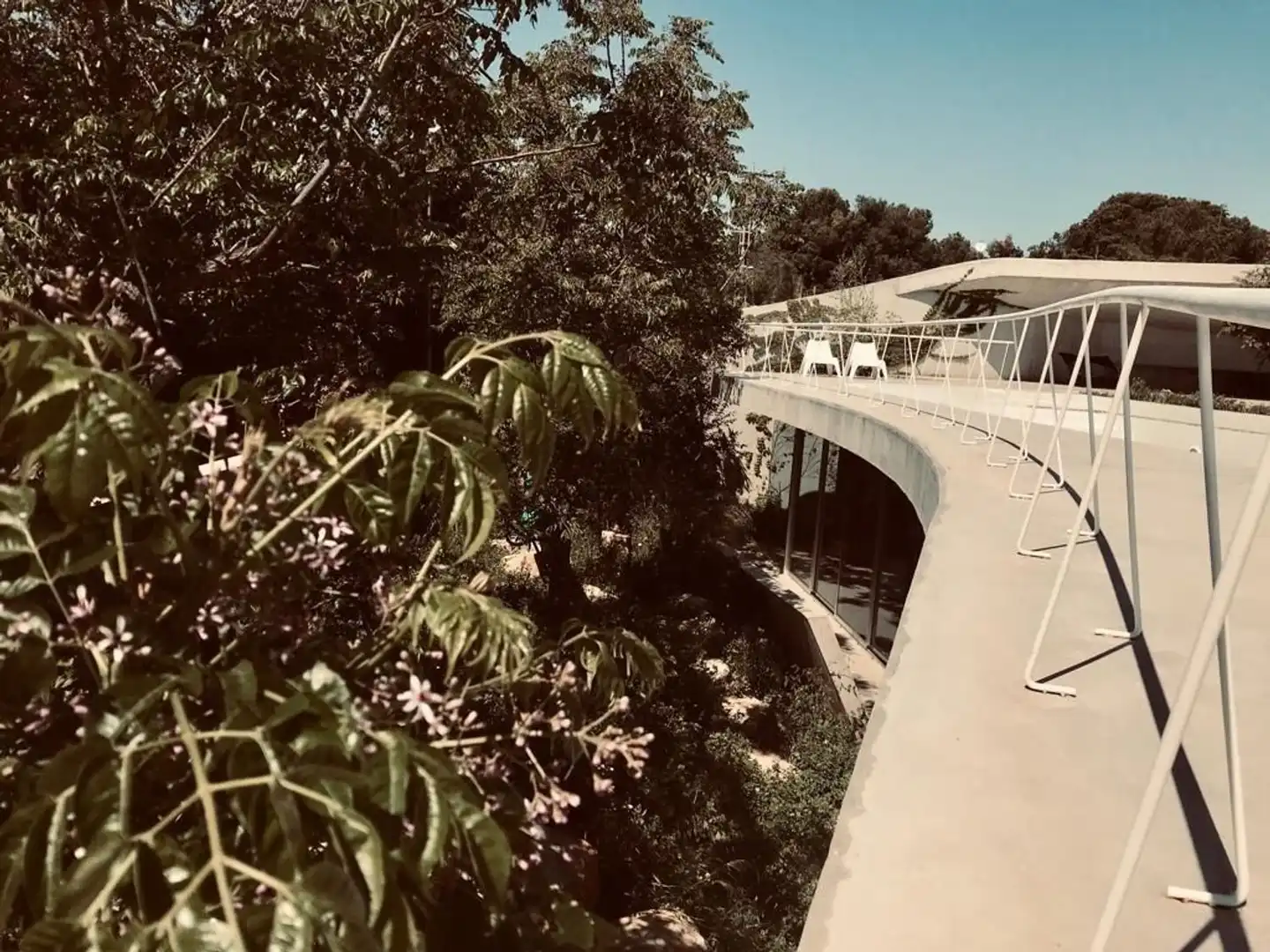 Exterior view of Houses for sale in San Vicente del Raspeig / Sant Vicent del Raspeig  with Private garden, Terrace and Storage room