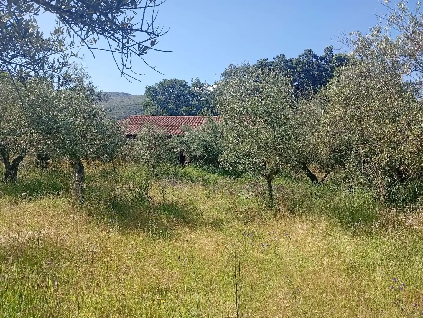 Maison à vendre à Villanueva de la Vera, imagen 41