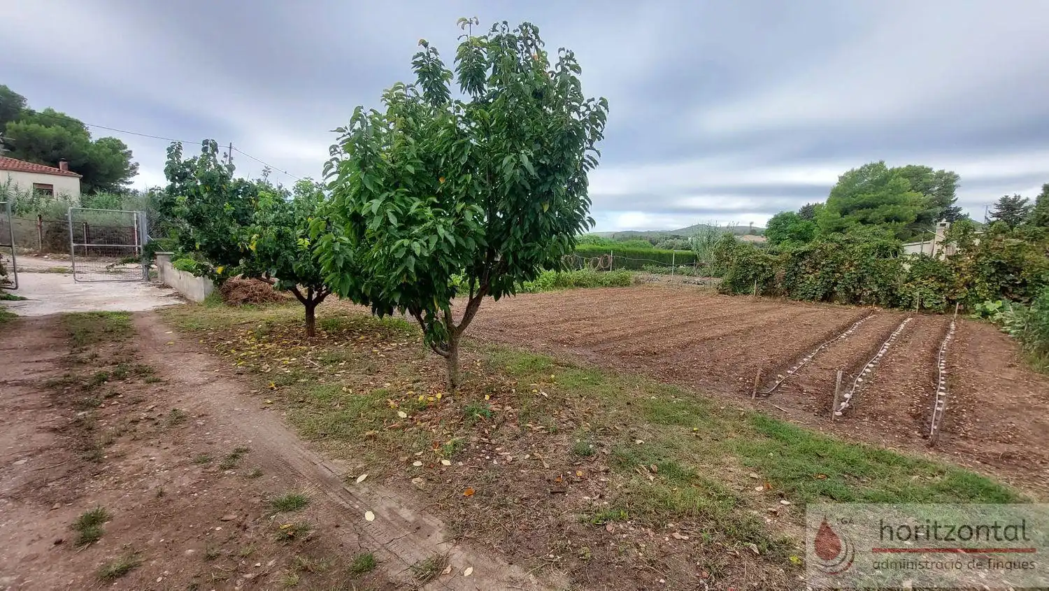 Residential for sale in dels Molins, 3, Santa Oliva