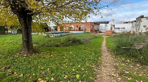 Photo 4 of Country homes for sale in Pedanías Norte, Utrera