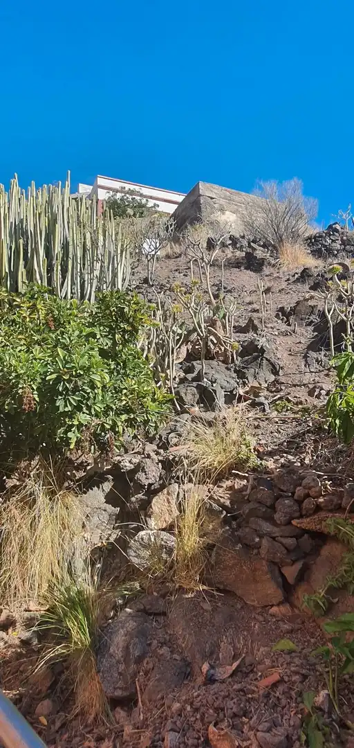 Garden of Residential for sale in Santa Cruz de Tenerife