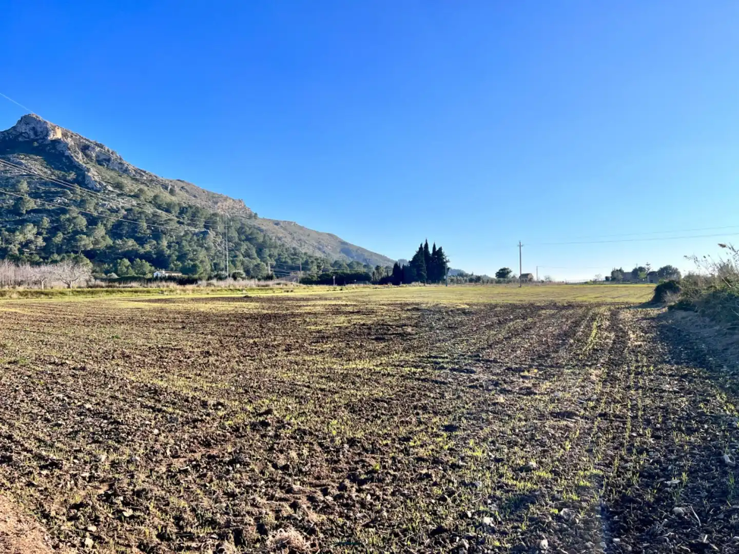 Maison rustique à vendre à Ciutat d'Alcúdia, imagen 5