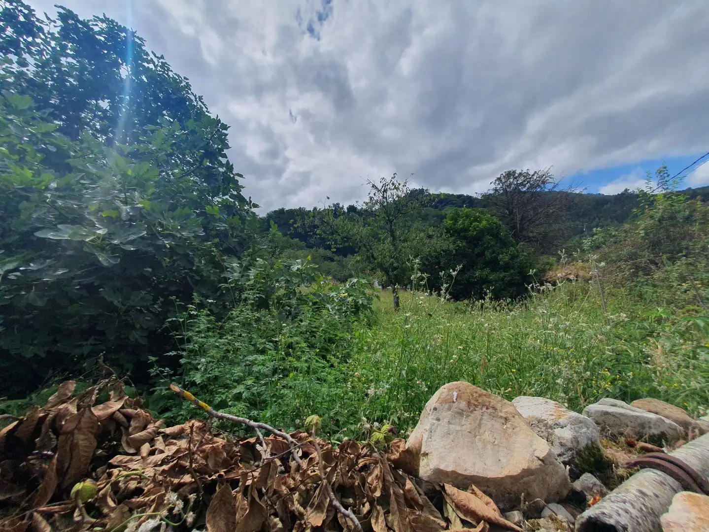 Terrenys i solars en venda a Belmonte de Miranda, imagen 8