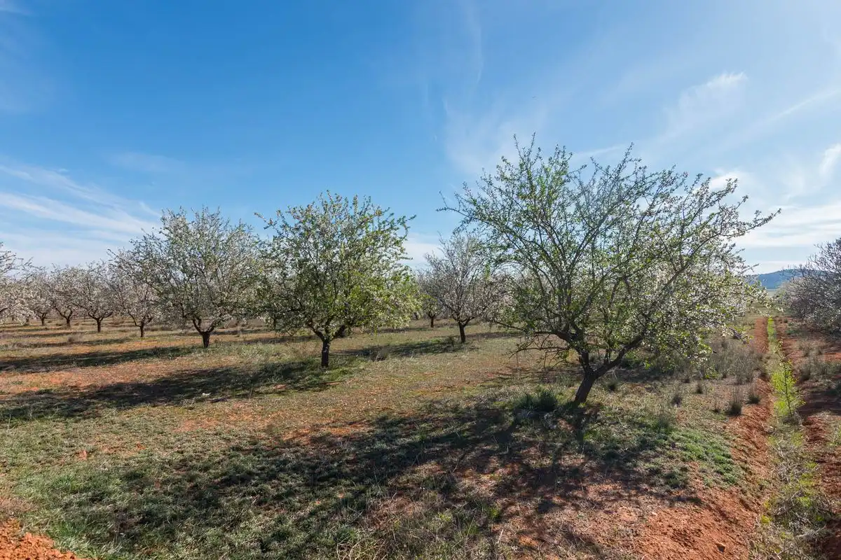 Casa rústica amb jardí en venda a ARDAL. MULA (Murcia), imagen 44