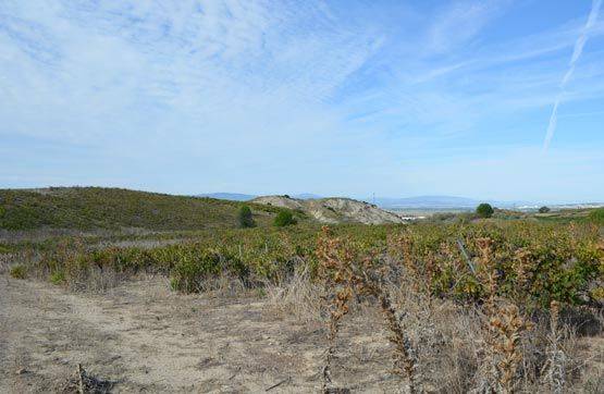 Terreno en Venta en Cadreita