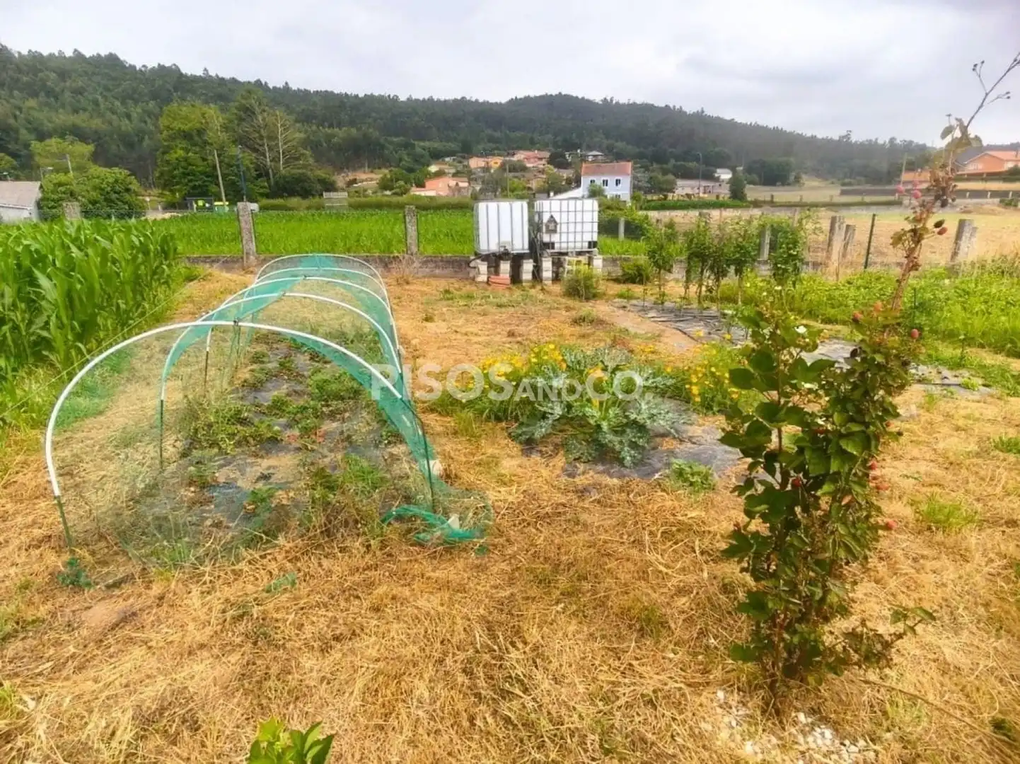 Terreni e lotti in vendita a Lugar CORTIÑA, imagen 7