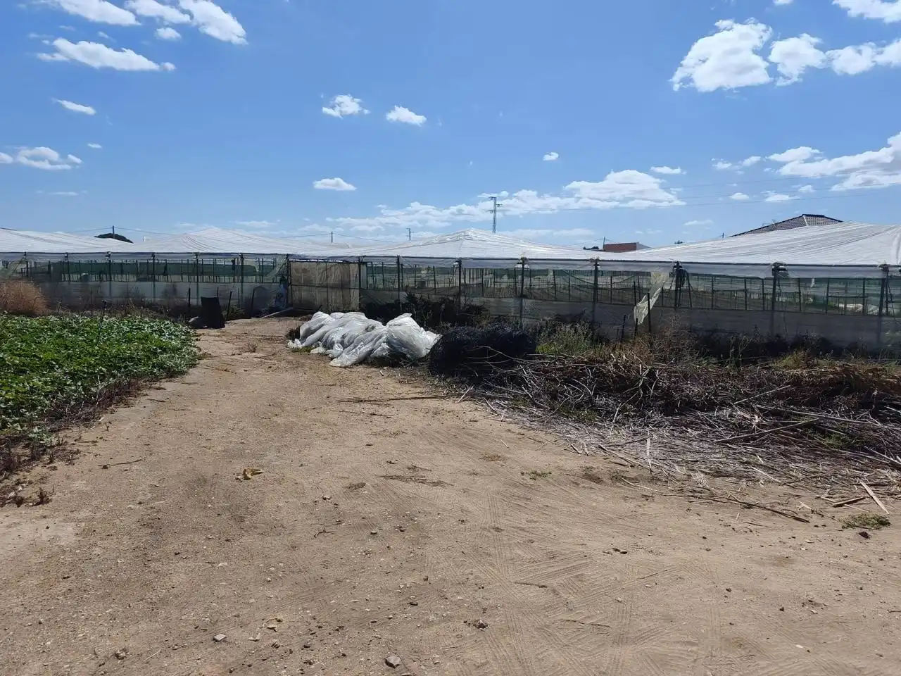 Lands and plots for sale in Camino de la Jara, imagen 9