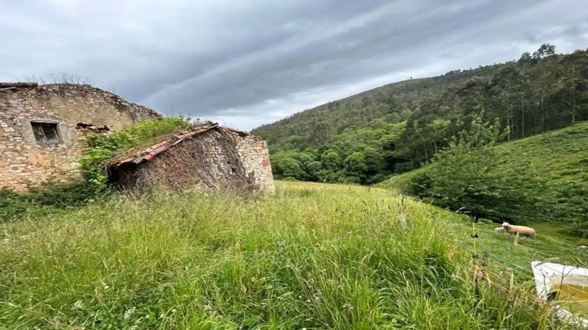 Residencial en venda en Caso