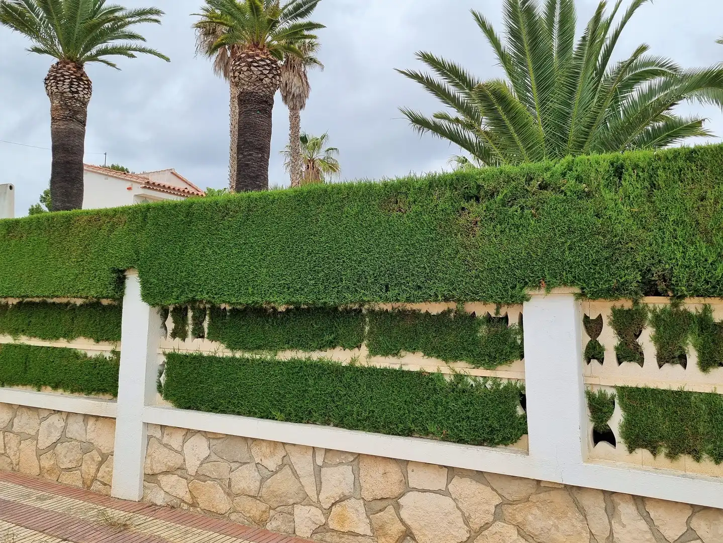 Villa avec piscine à vendre à Carrer Rovelló, imagen 49