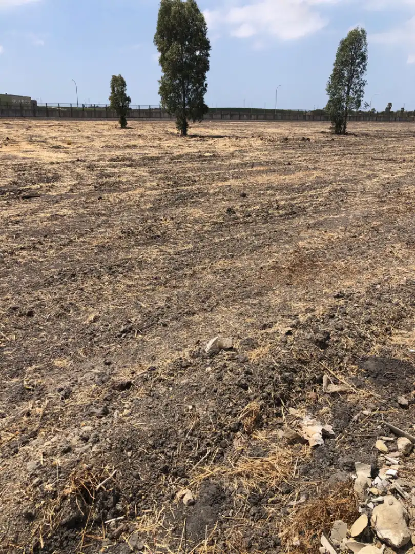 Rustikales Grundstück zum Verkauf in Avenida Carretera del Puerto 8, imagen 11