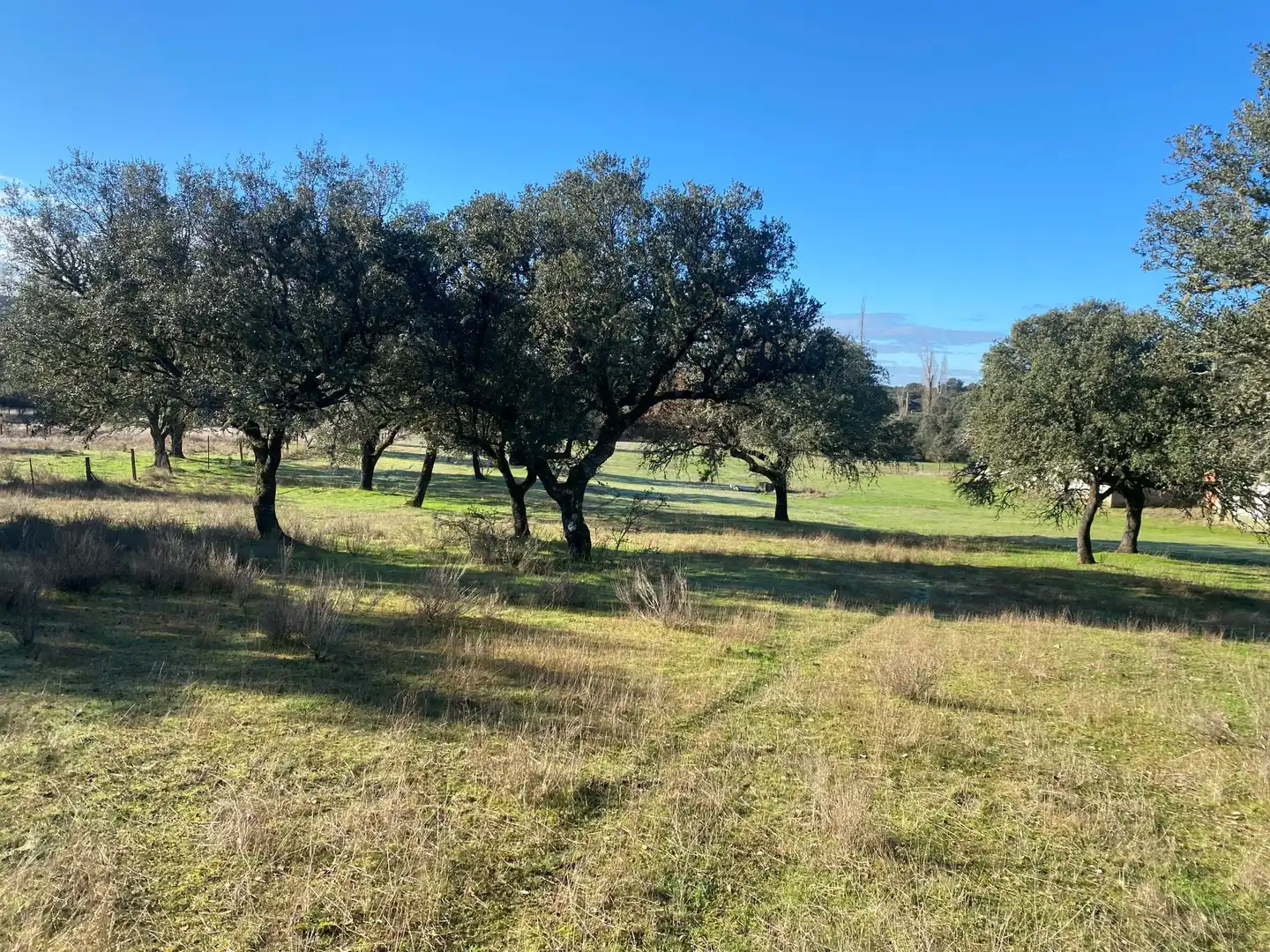 Finca rústica en venta en Buenaventura