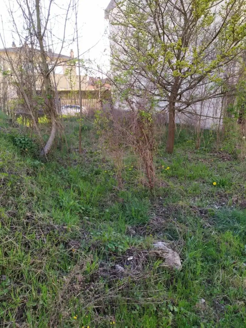Terreni e lotti in vendita a Olot, imagen 4