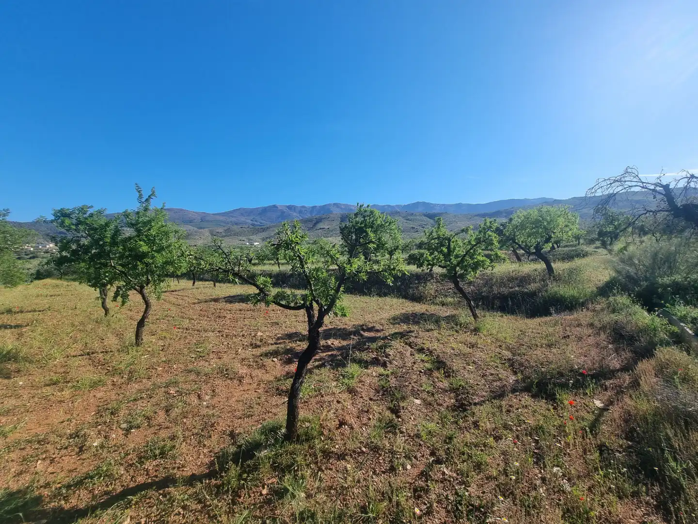 Terreno en venta en Abrucena
