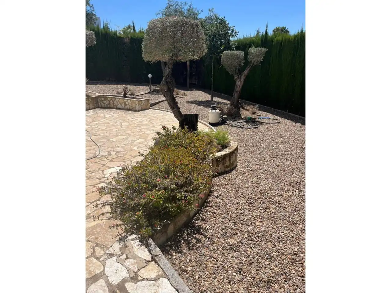 Casa o xalet en venda a Colegio Europa