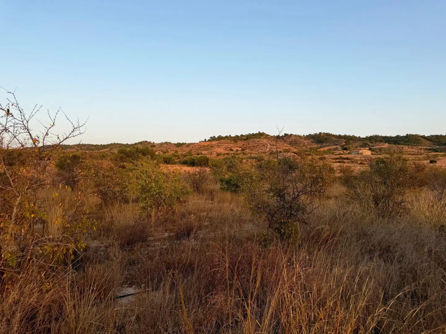 Lands and plots for sale in Abanilla, imagen 4