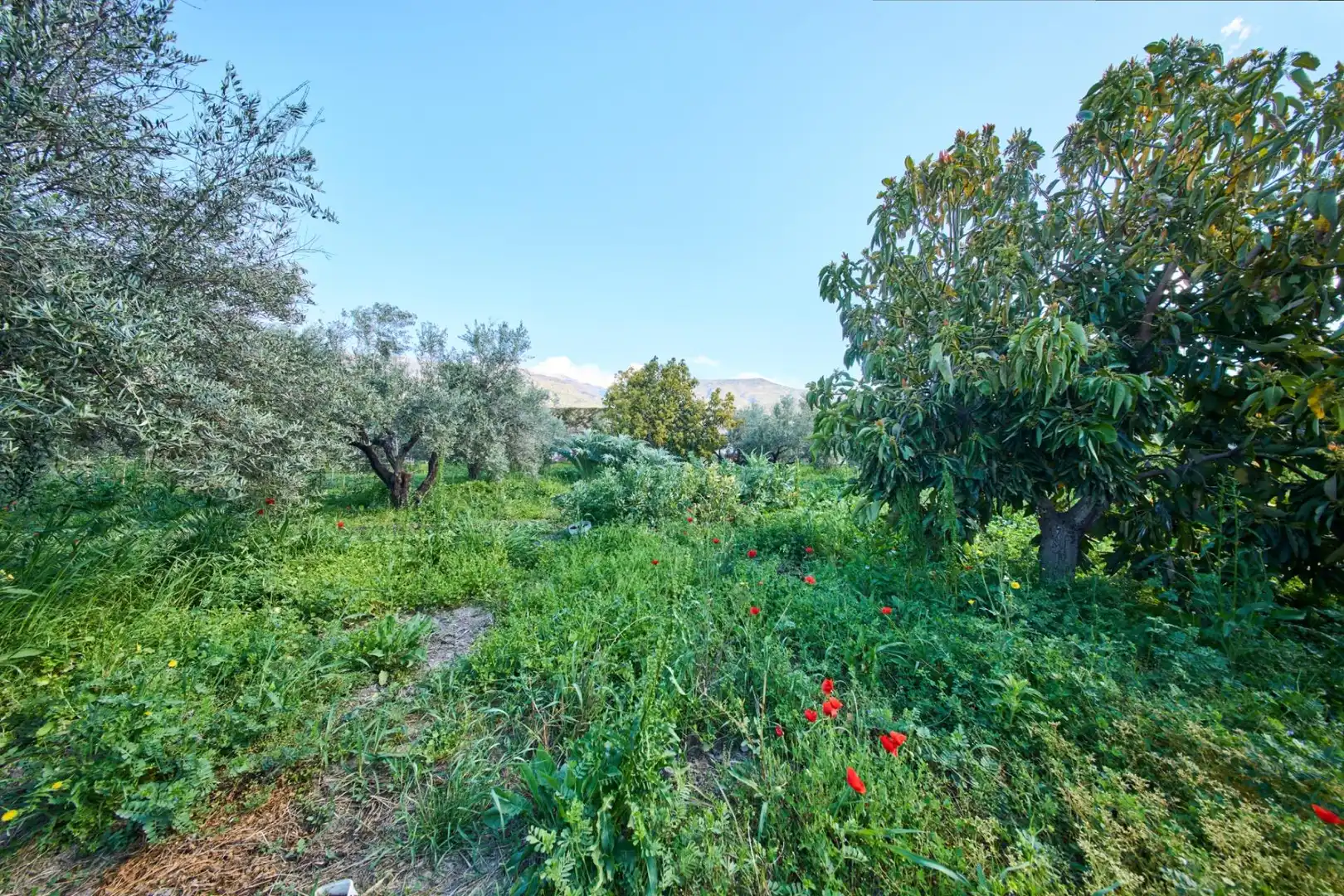 Casa rústica amb jardí en venda a Camino de la Vegueta, imagen 41