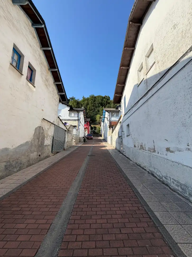 Habitatge amb jardí en venda a Tineo, imagen 29