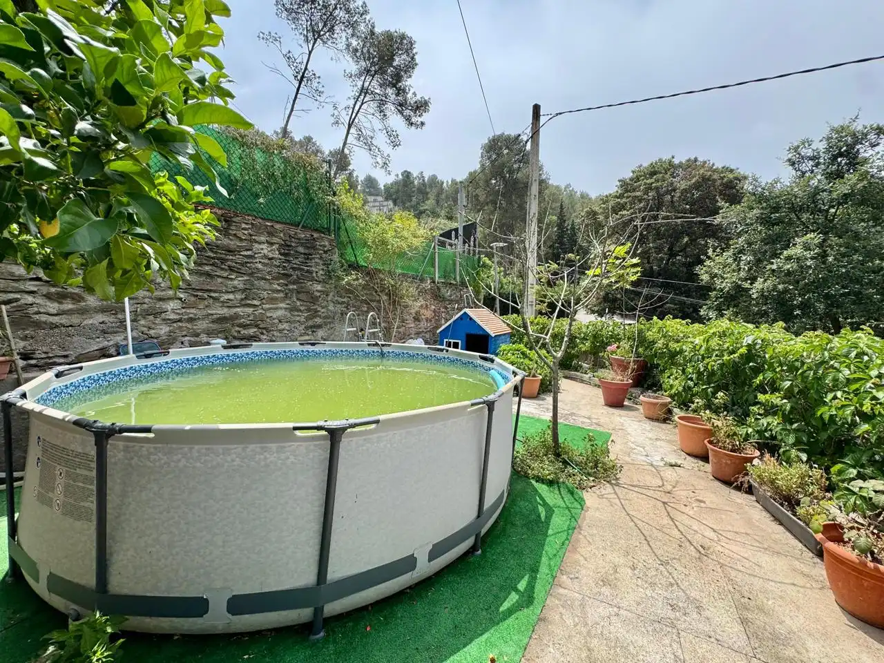 Casa amb piscina en venda a Ronda Del Moli, imagen 48
