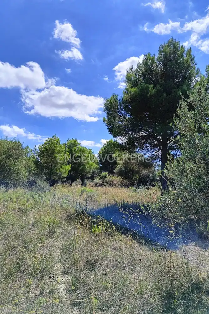 Terrenys i solars en venda a Pedreguer, imagen 5