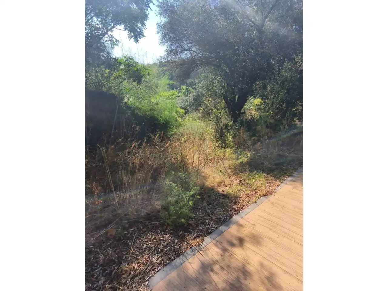 Residential land for sale in Calle Castanyers, imagen 2