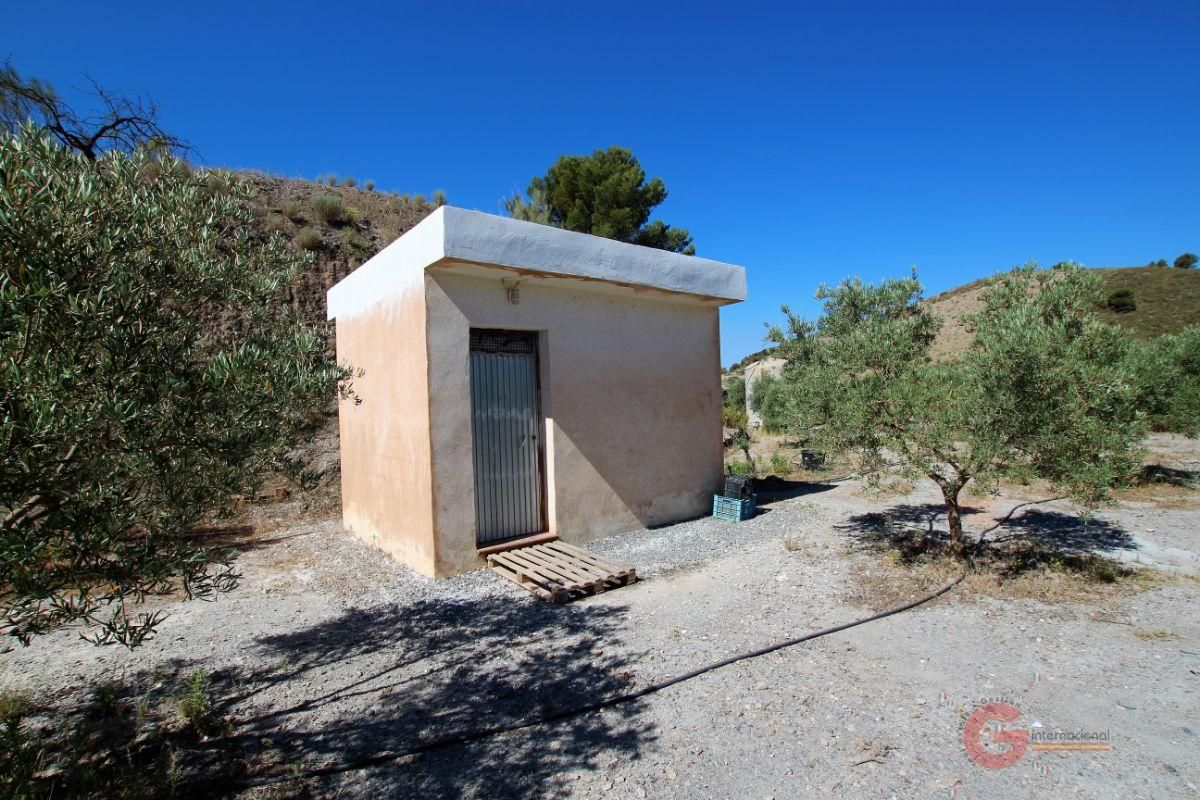 Finca rústica en venda a Los Tablones - La Garnatilla