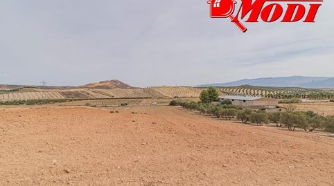 Se vende esta bonita haza de tierra de secano en termino de la Malaha, camino hacia Otura. Son dos fanegas de tierra  9.395 m  don