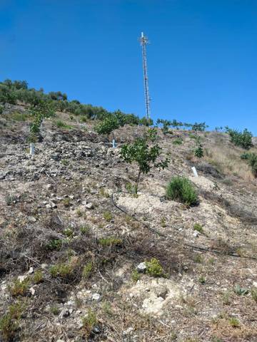 Terreno en Venta en N/A, -1 en Puente Jontoya - Puente de la Sierra - El Arroyo