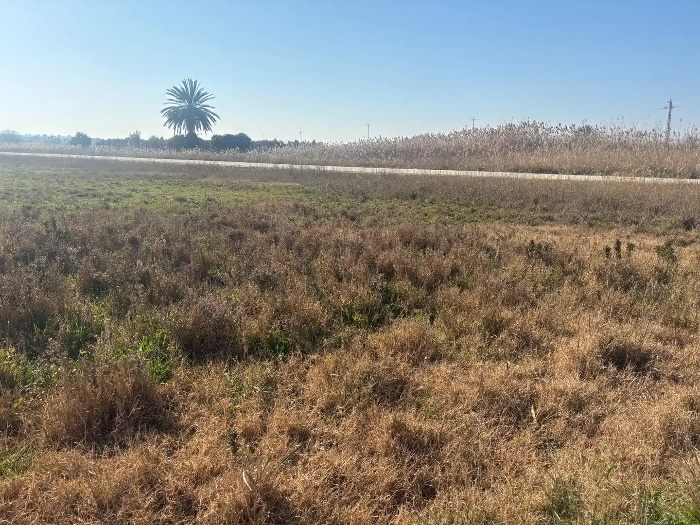 Terrain rustique à vendre à La Foia - Daimés - Asprella, imagen 5