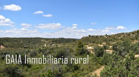 Photo 2 of Land for sale in Doctor Cerrada, Zaragoza
