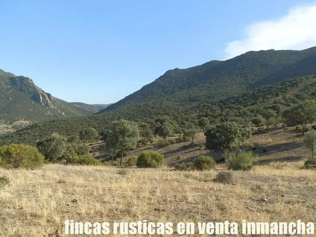 Rustikales Grundstück zum Verkauf in Avenida Ciudad Real Pol N 7, imagen 5