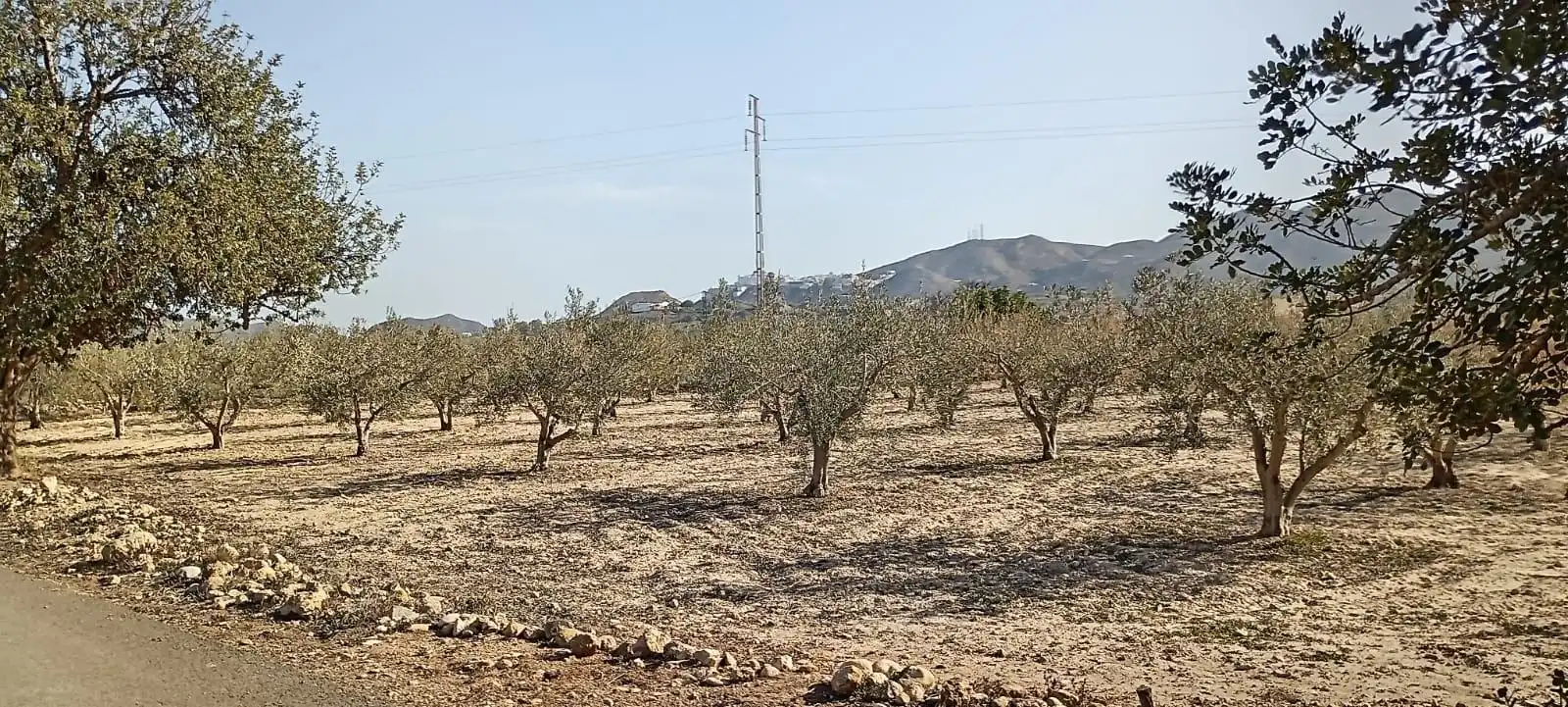 Maison avec jardin à vendre à Mojácar Pueblo, imagen 26