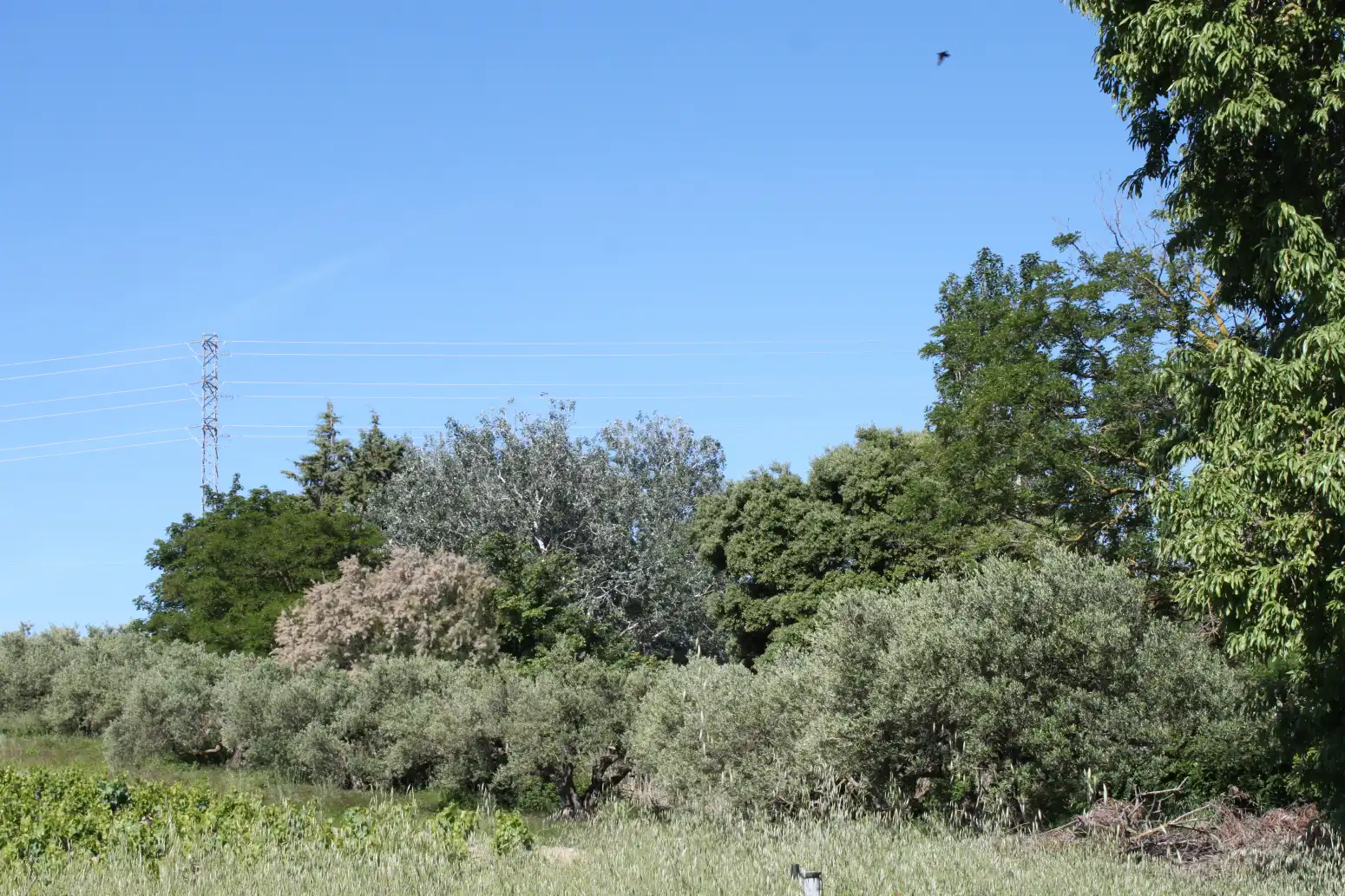 Terreno en venta en Tafalla