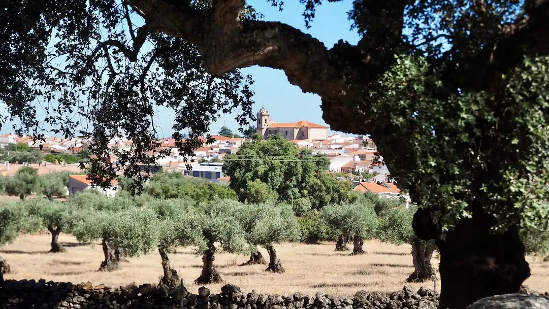 Terreni e lotti in vendita a Casco Antiguo, imagen 34