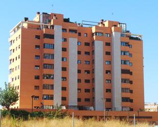 Traster en venda a Calle de las Redes, 4, Alicante / Alacant