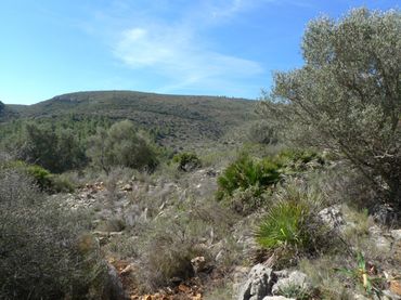 Terreno residencial en venta en Benigembla