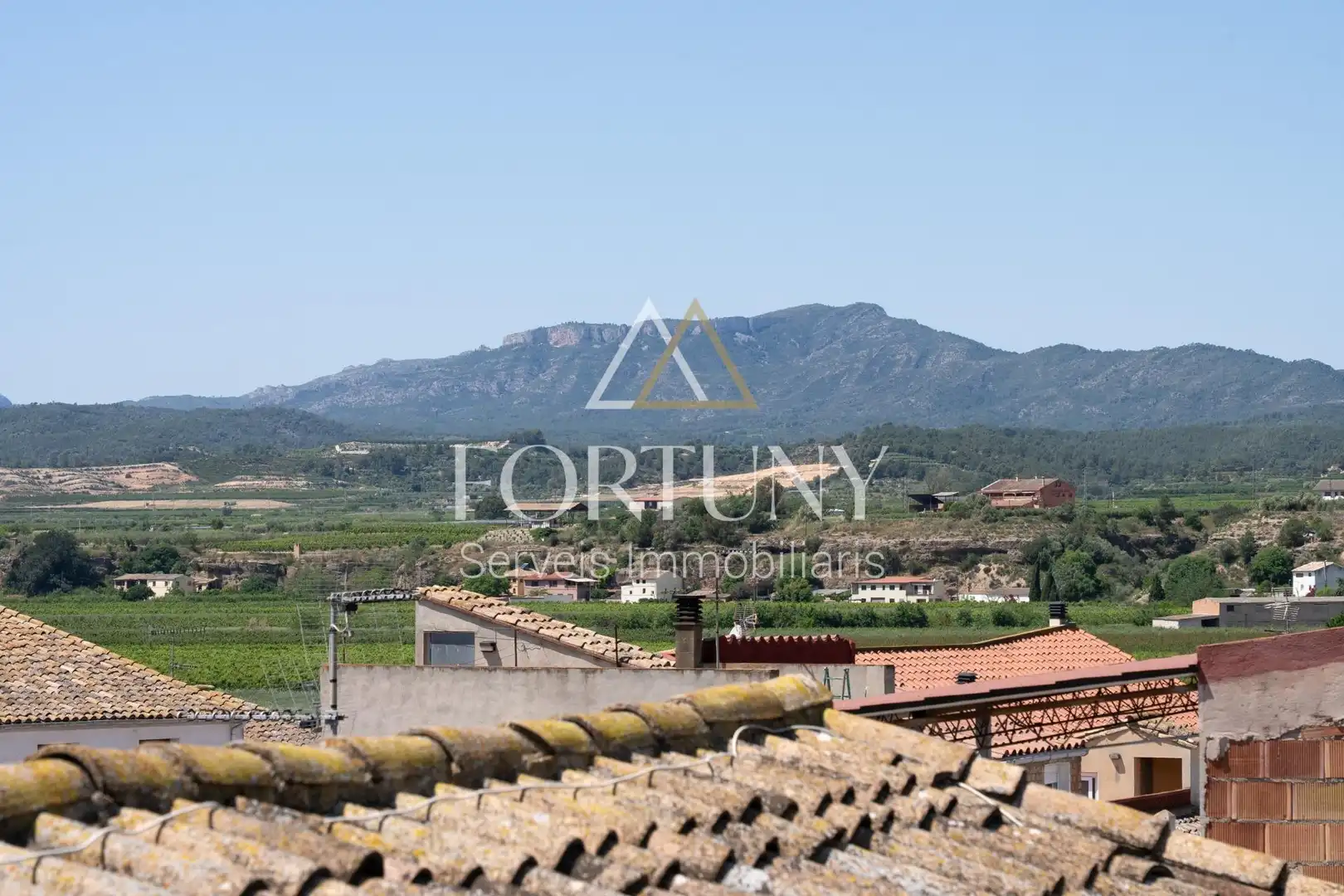 Vista exterior de Casa o chalet en venta en Benissanet con Terraza