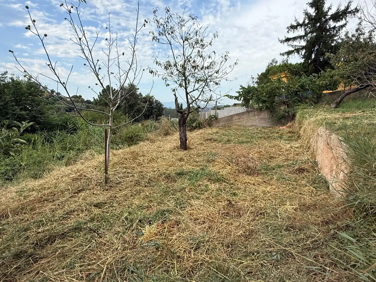 Terreno residencial en venta en Carretera de Can Fornaca 5, imagen 3