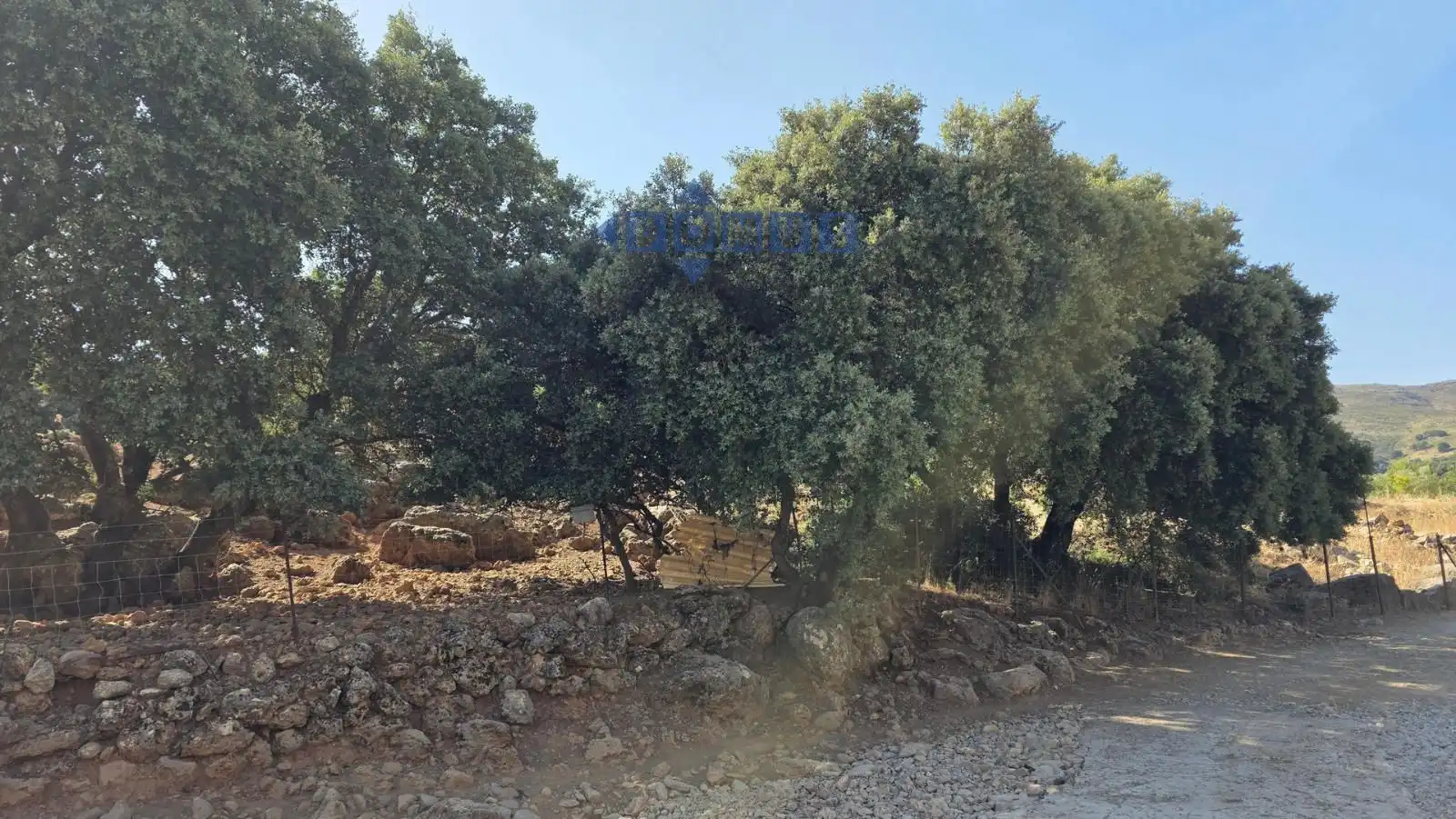 Terreno en venta en Camino Cartajima, carretera de san pedro, Partidas Sur