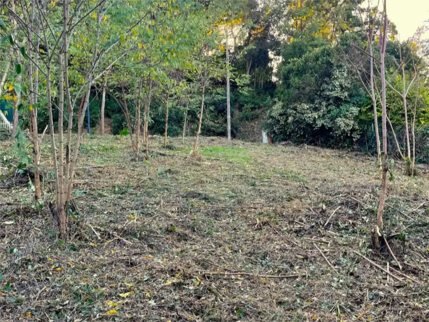 Terreno en venta en Les Planes