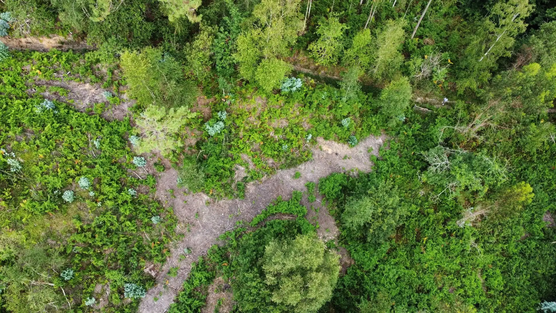Terreno rustico in vendita a Pría - Nueva-Hontoria - Naves, imagen 5