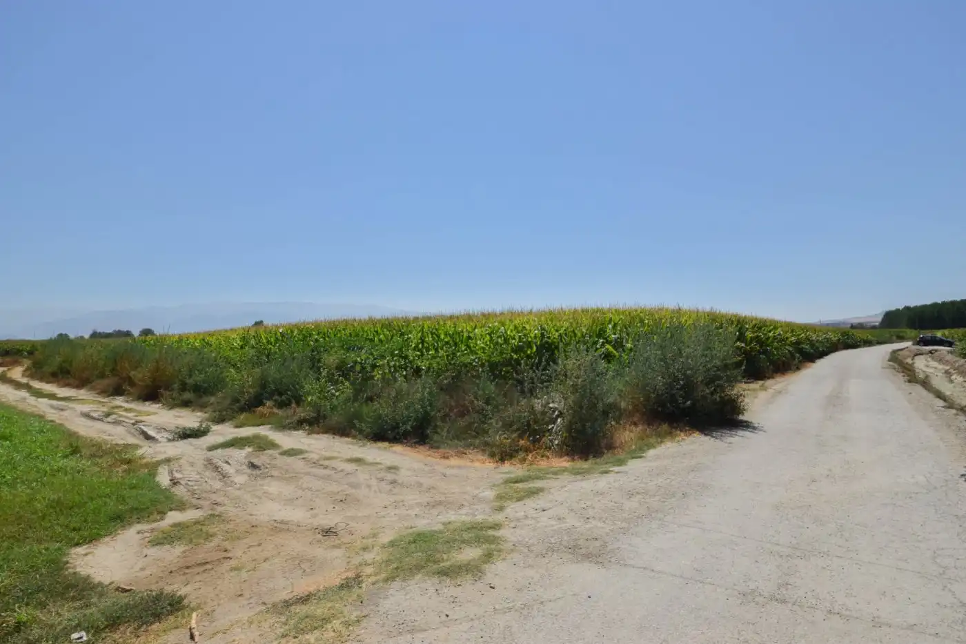 Finca rústica en venta en Belicena