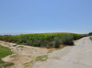 Terreny rústic en venda a Camino PRADOS
