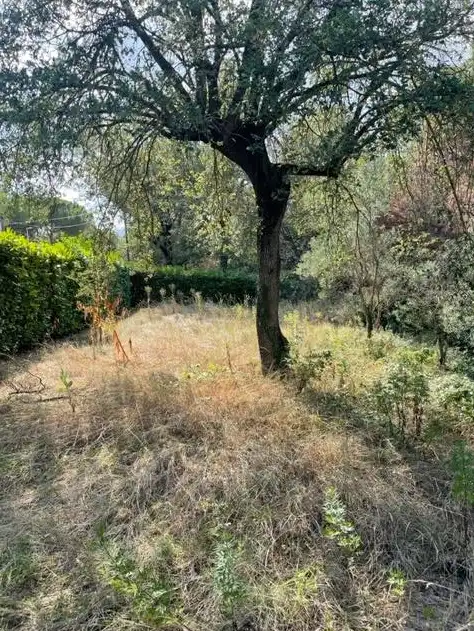 Terreno en Taradell La Roca, imatge 4