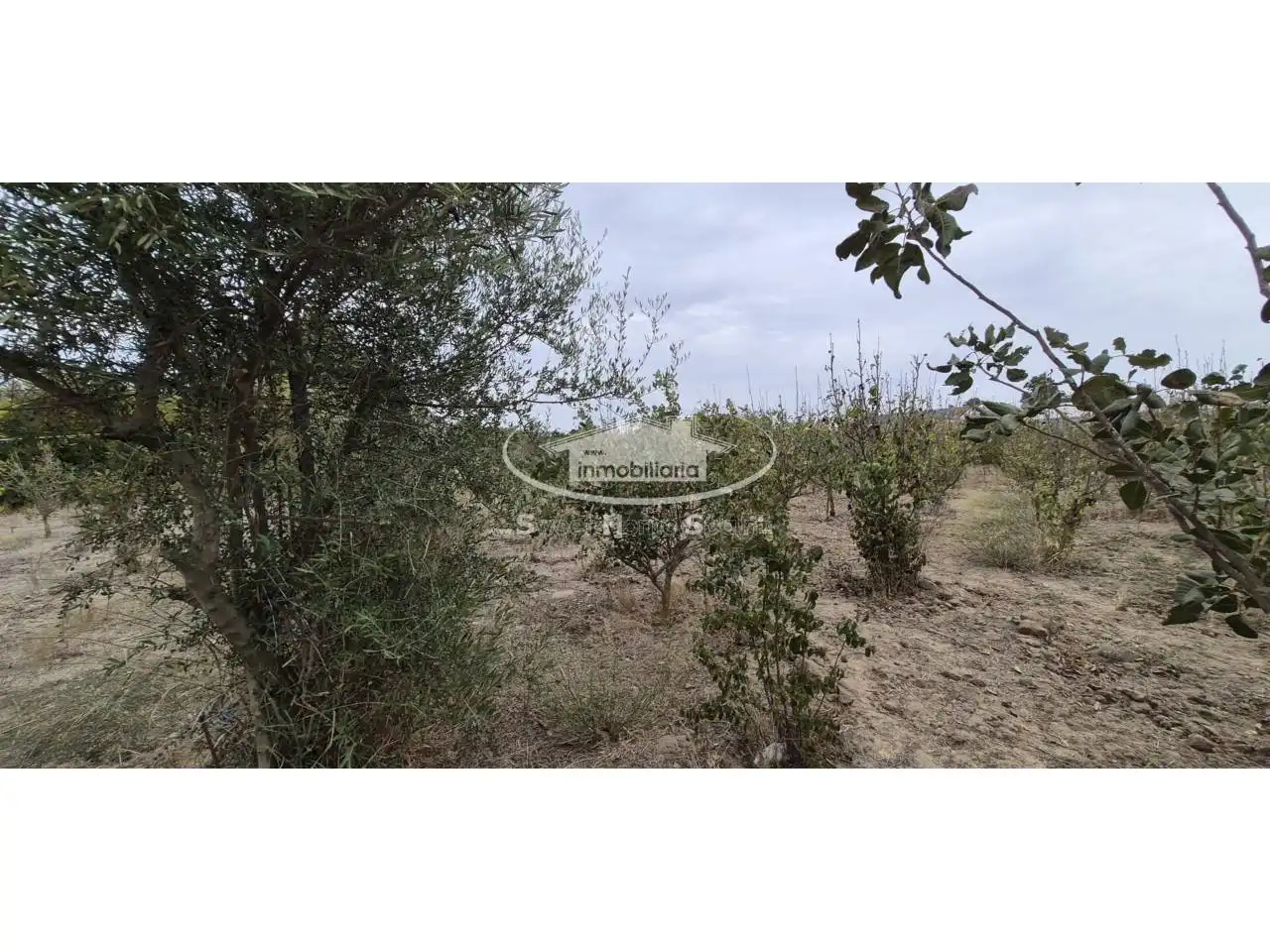 Terreno rustico in vendita a Calle Real de Chapitel, imagen 21