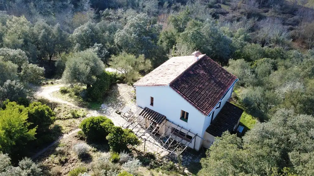 Vista exterior de Casa o xalet en venda en Los Marines amb Jardí privat, Terrassa i Traster