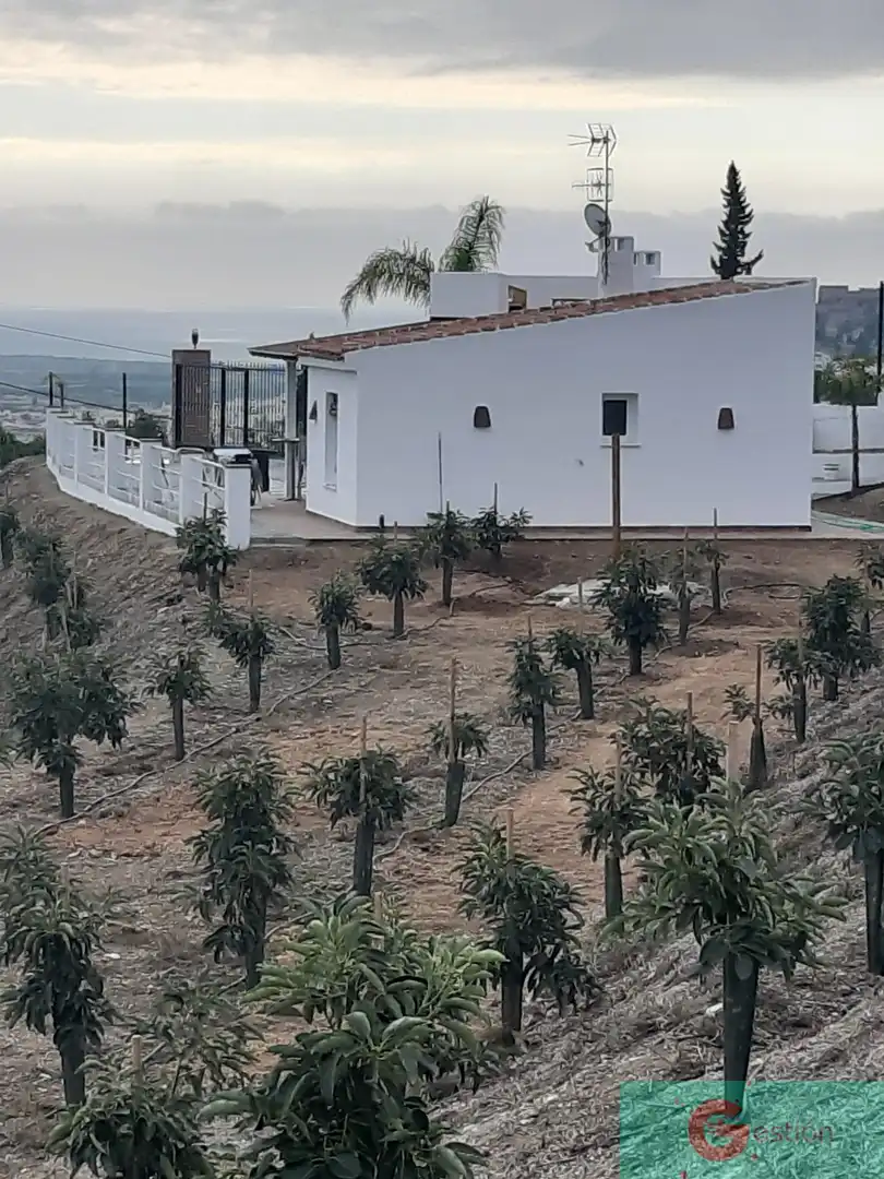 Casa rústica en venda a Centro, imagen 9