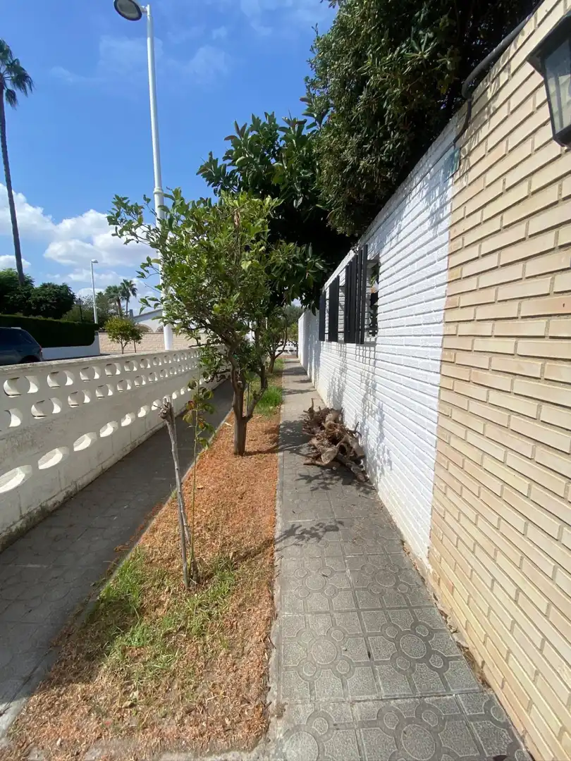 Vista exterior de Casa o xalet en venda en Sagunto / Sagunt amb Aire condicionat, Jardí privat i Terrassa