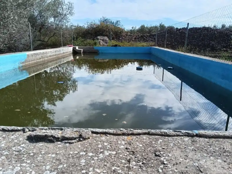 Piscina de Finca rústica en venda en Aldover amb Piscina