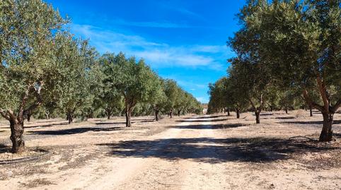 Foto 2 de Terreny en venda a Centro - Sagrario, Granada