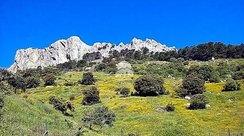 Photo 4 of Country house for sale in Benalauría, Málaga